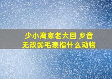 少小离家老大回 乡音无改鬓毛衰指什么动物